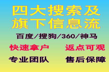 知名SEM公司案例分析：优化策略与成果